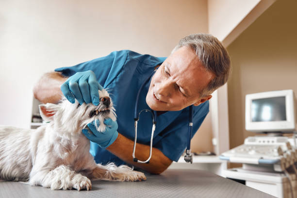 Best Broken Tooth Emergency  in Big Rapids, MI